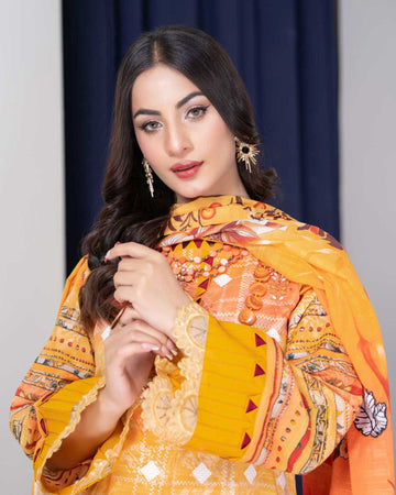 Pakeeza by Aalaya Summer Vol 01 '25 D 03